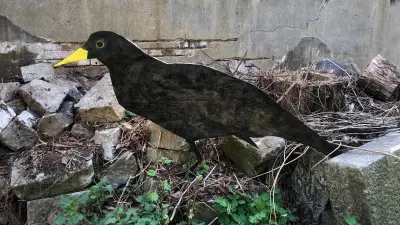 RIVERCROW